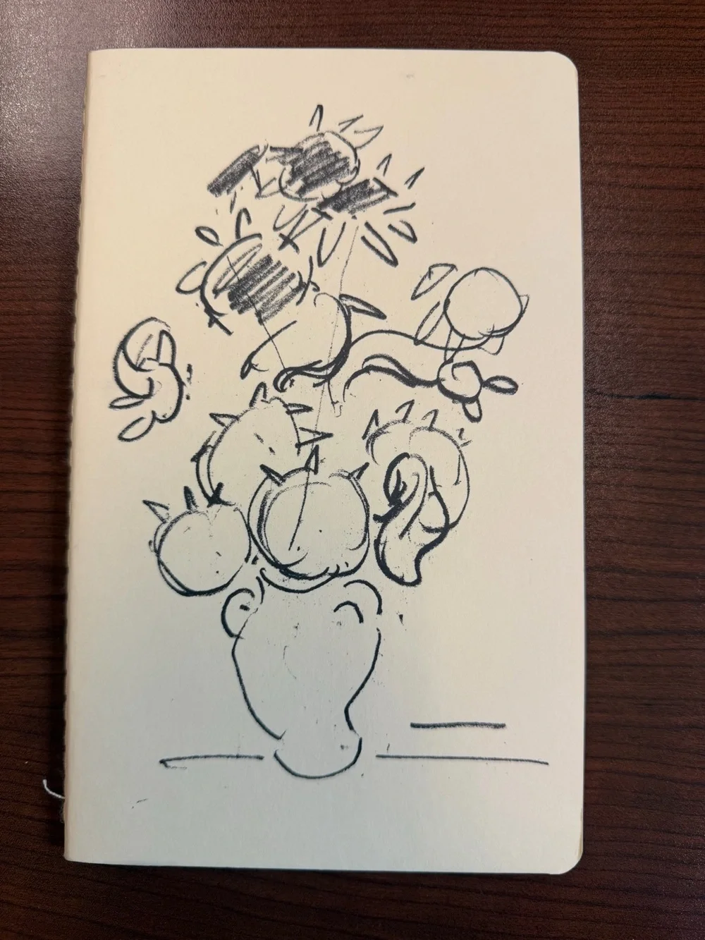(3) notebook books